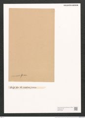 Sceptroneis cuneata Grun. (de-Toni-Nr.: Genus 63, Species 2573) Zeichnungen Sammlung Grunow (NHMW-BOT-W0373438)